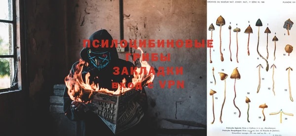 прущая мука Покров