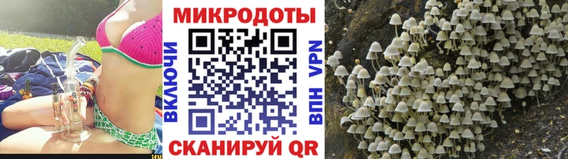 Галлюциногенные грибы ЛСД  где купить наркоту  Светлый 